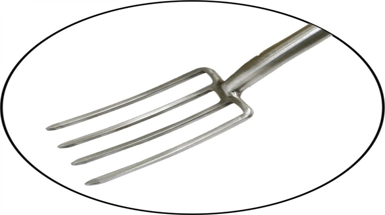 Stainless Steel Border Fork Wooden Handle