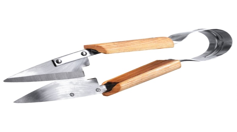 Stainless Steel Topiary Shears